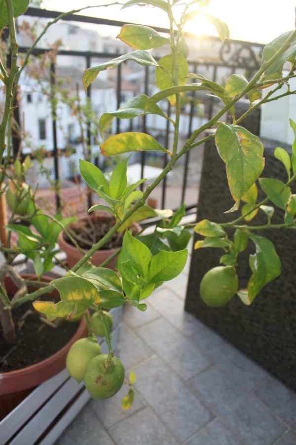 Dimore De La Rosa Palermo Exteriör bild